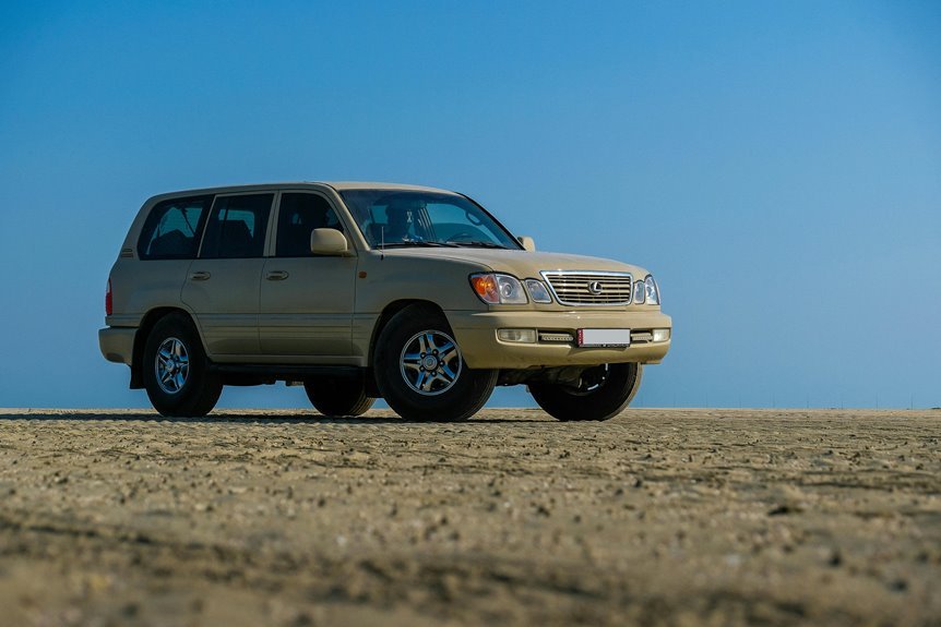 stable model 3618257777 online